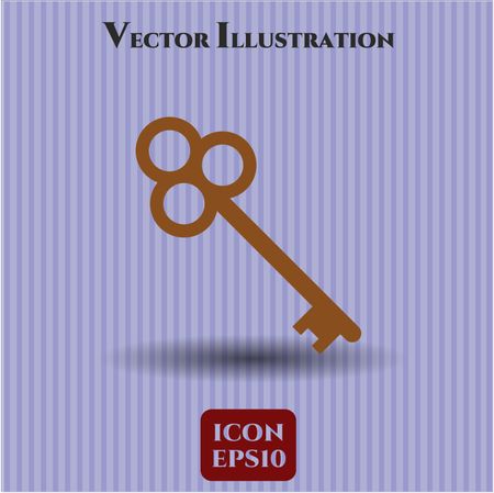 Key icon vector illustration