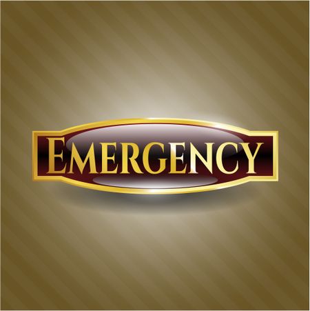 Emergency gold shiny badge