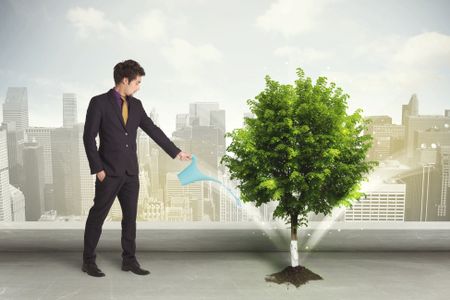 Businessman watering green tree on city background concept