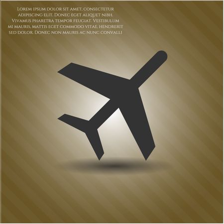 Plane vector icon or symbol