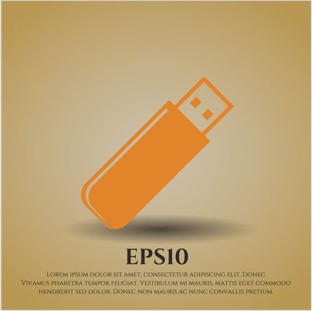 Flash Drive icon