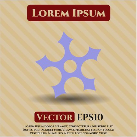 Ninja Star high quality icon