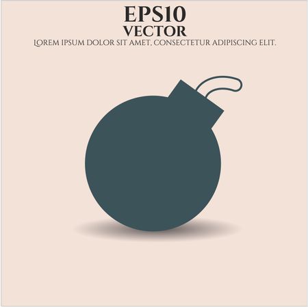 Bomb icon vector illustration