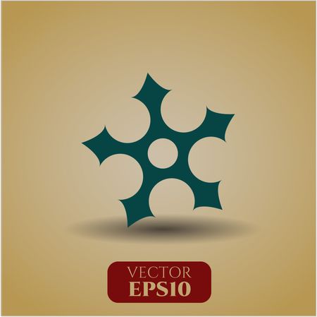 Ninja Star high quality icon