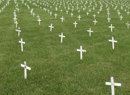 Rows of small white crosses stuck in green lawn to protest abortion
