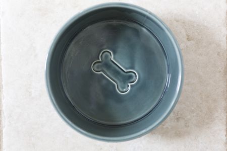 Ceramic dog bowl on a kitchen floor