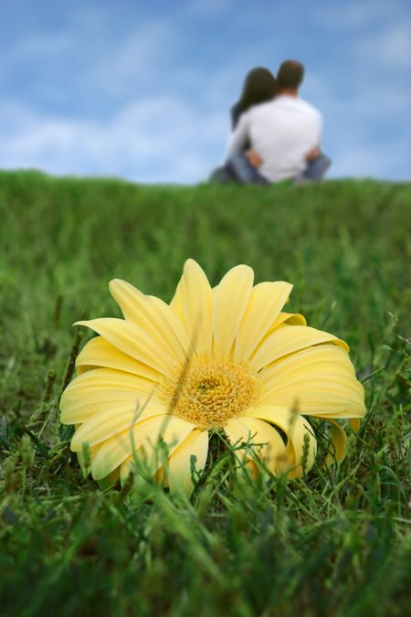 big yellow flower in the foreground with a couple hugging on the background