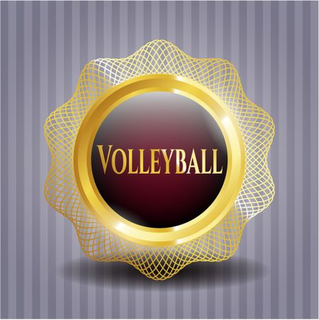 Volleyball gold badge or emblem