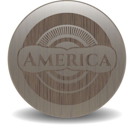 America wood emblem. Retro
