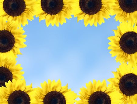 frame made out of sunflowers with a sky in the background
