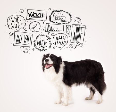 Cute black and white border collie with barking speech bubbles above her head