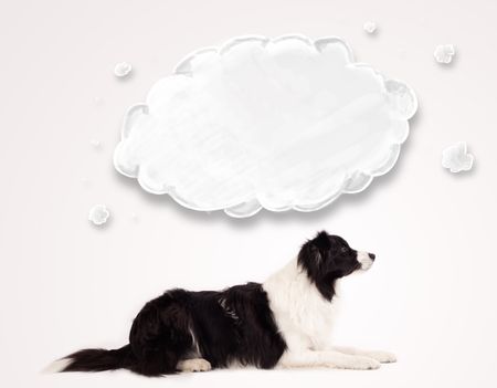 Cute black and white border collie with empty cloud above her head