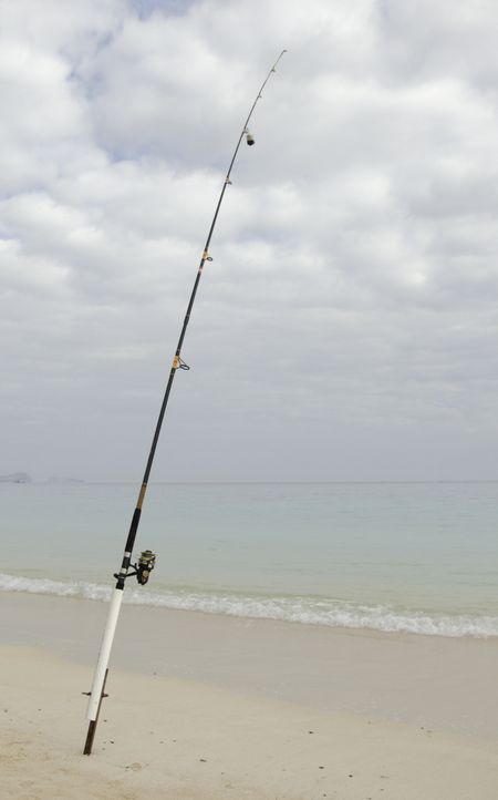 Fishing rod standing on Hawaiian beach