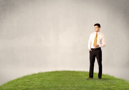 successful-caucasian-elegant-business-man-standing-453591604 A successful caucasian elegant business man standing in small green grass with briefcase in front of clear empty background concept.