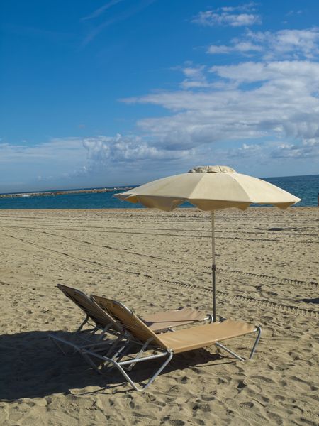 the beach of barcelona