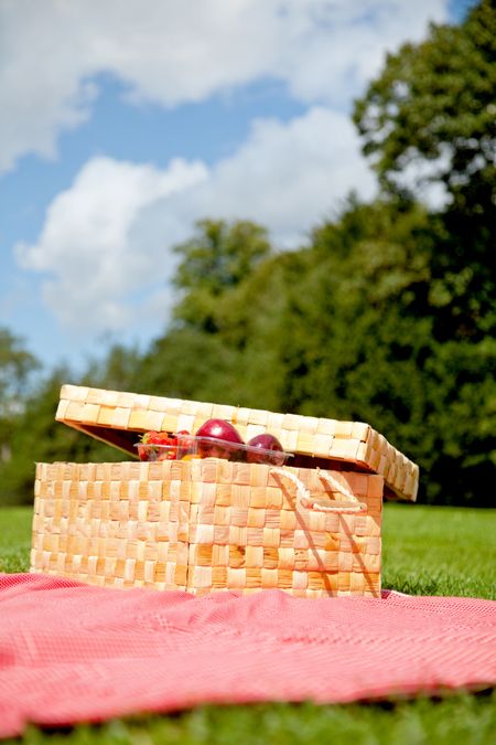 Picnic basket lying over a tablecloth at the park