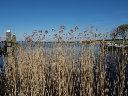 the dutch coast