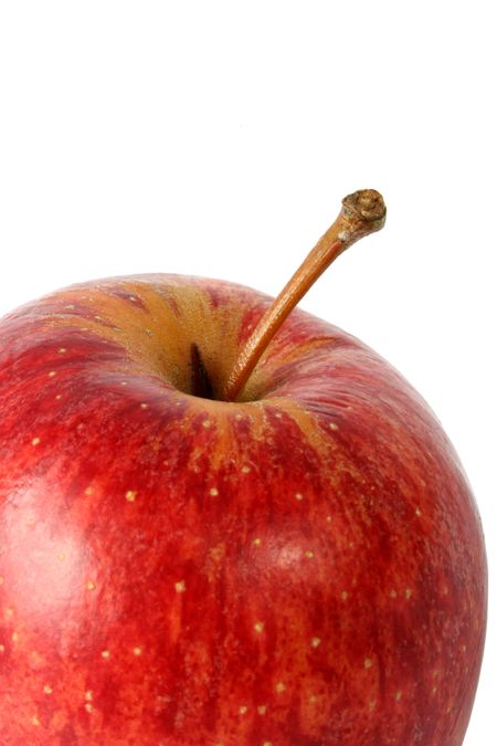 apple in red close-up on the top