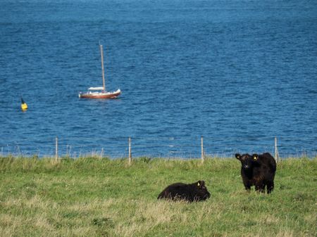 the Island helgoland