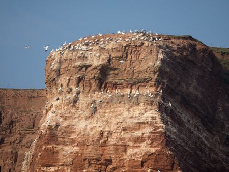 island-helgoland-483599698 the Island of helgoland