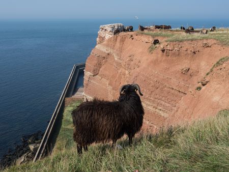 the Island of helgoland