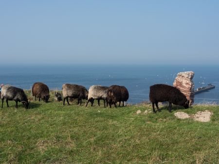 the Island of helgoland