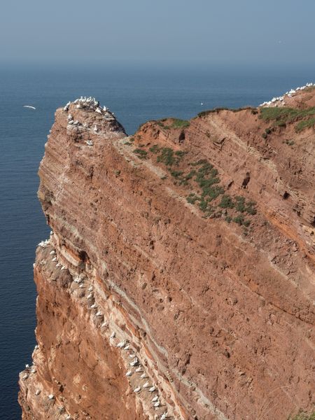 Island Helgoland