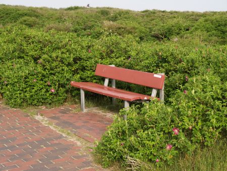 Island Langeoog