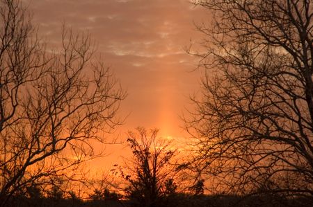 Sunrise at Morton Arboretum, Lisle, Illinois