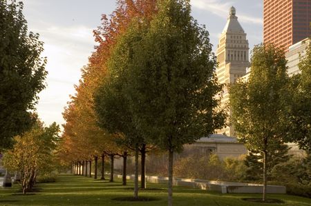 View from Millennium Park in Chicago