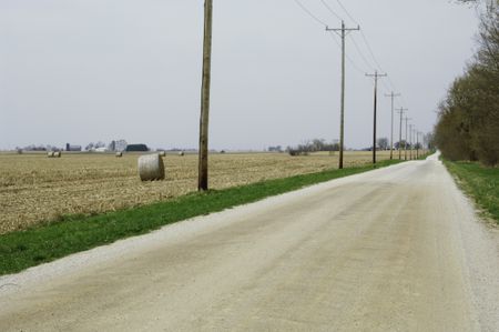 Rural dirt road lined with trees and telephone poles by farm fields on overcast spring day in northern Illinois
