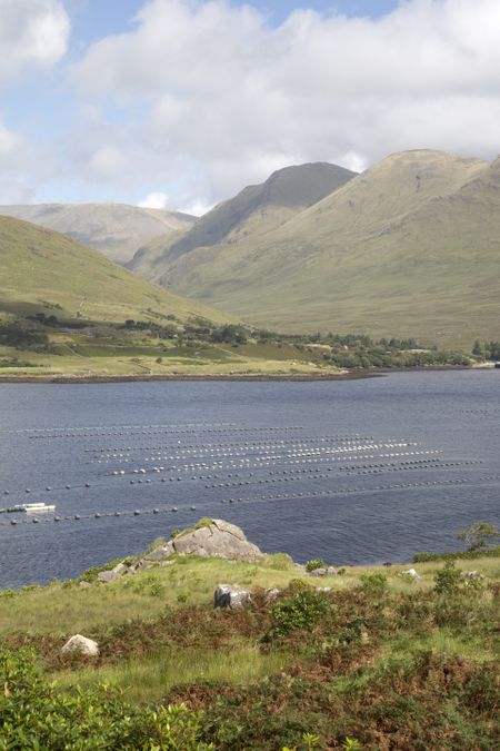 Killary Fjord Lake; Leenane, Connemara; Galway; Ireland