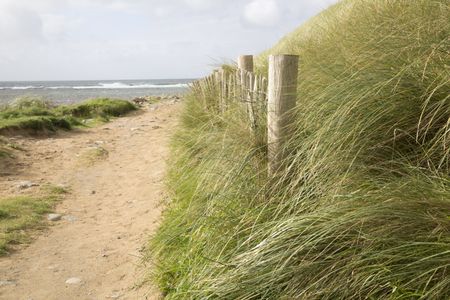 Footpath to Beach, Clare, Ireland