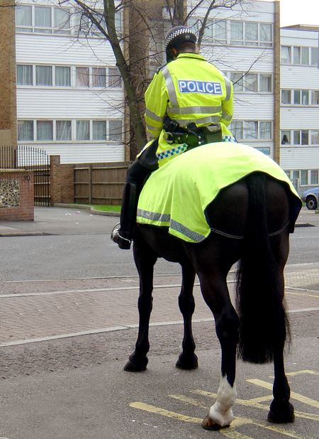Police woman on a horse