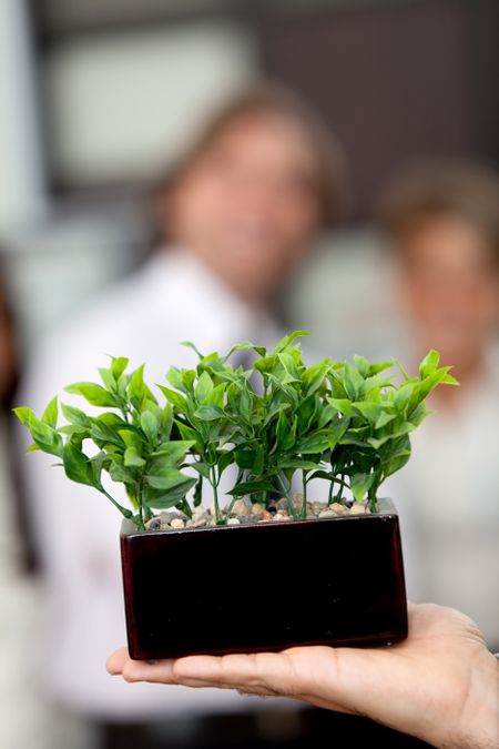 man-holding-tree-office-environment-friendly-51600949 Man holding a tree at the office - Environment friendly business concepts