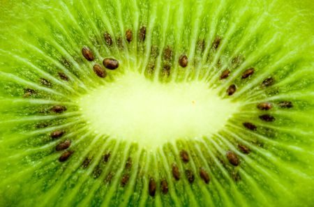 background in green of a kiwi fruit with high detail