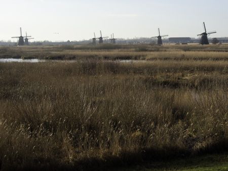 the mills of kinderdijk