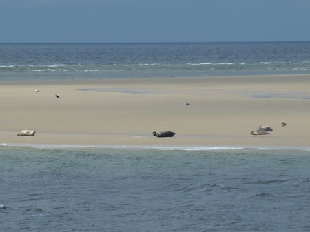 the Island borkum