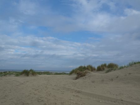 the island of borkum