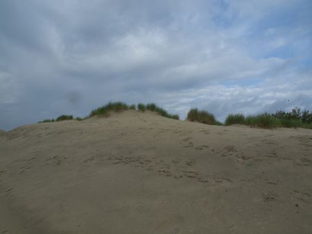 the island of borkum