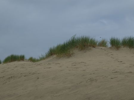 the island of borkum