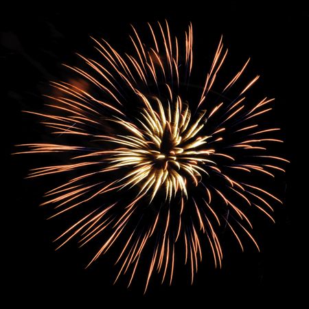 Burst of yellowish and reddish fireworks, with feathery interior and thin blue streaks, on square background