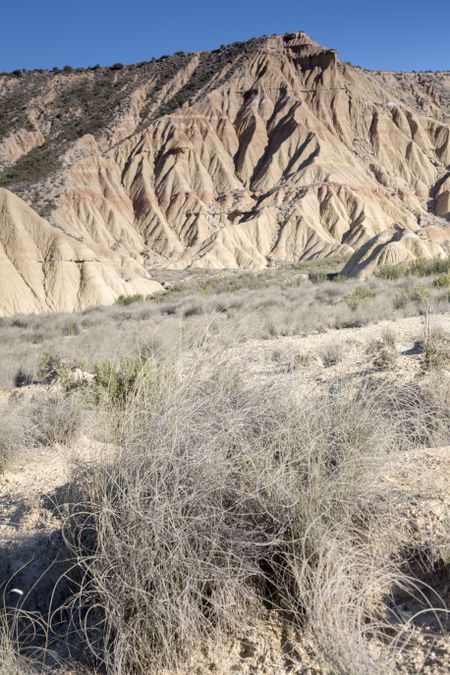 Bardenas Reales Park; Navarre; Spain
