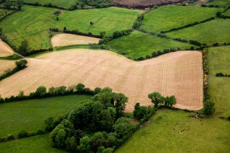 Beautiful landscape of a harvest field viewed from the air