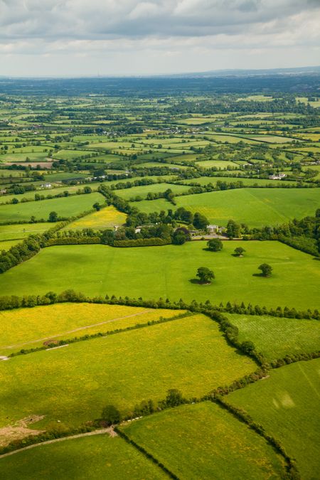 Beautiful green field landscape viewed from the air