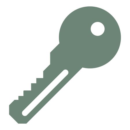 Vector Illustration of Gray Key Icon
