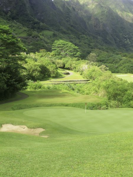 Mountainside golf course in Hawaii: fairway approach to putting green with terraced tee box of another hole beyond