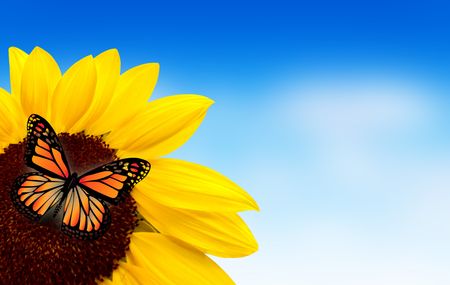 Beautiful butterfly on a bright sunflower outdoors