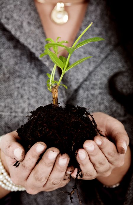 business woman holding a small plant in her hands - concept is growth