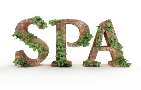 3D Spa text in a wooden texture with leaves - isolated